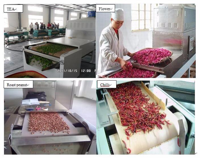 Cocoa Bean Nuts Microwave Dryer